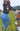 Jeans, Pants and Jumpers